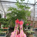 숭례관장례식장 이미지