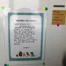 동해 묵호 : 2박 3일 기차 타고 힐링여행 “등대오름길, 논골담길, 바람의언덕” 눈 호강 제대로 산책...