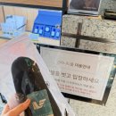 스위트스팟정보통신 | 속초 소노펠리체 델피노 더엠브로시아 인피니티풀 내돈내산 후기(할인, 촬영스팟, 운영시간)