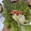 이대감 고깃집 | 광양읍맛집 대갓집숯불직화구이 방문후기