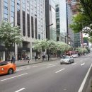 강남대로2-5 이미지