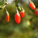 담아온건강 이미지