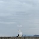 씨유 울진오션뷰점 | 아이랑 울진 죽변항 오션뷰 숙소 시선 특실 SEASUN 호텔 주차장