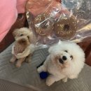 건강하개 수제간식 | [ 애견동반_일산 ] 일산 호수공원 근처 펫푸드 공방 강아지 수제간식 전문점 &#39;요니간식&#39; 방문 후기