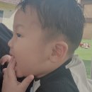 꼬모씨엘로