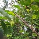 굿마루농장 이미지