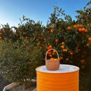 우재농장 이미지