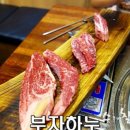 부자하누 이미지