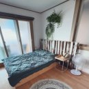 올랑고디또 이미지