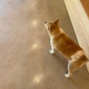 스테이246 이미지