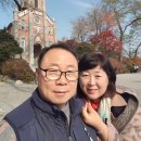 라파엘라 이미지