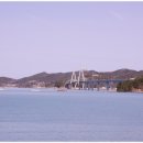 소록도중앙공원 Daum카페