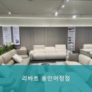 리바트용인어정점