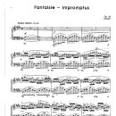 Chopin / Fantaisie impromptus 즉흥환상곡 이미지
