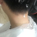 레빗쿤