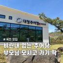 옥천 대청추어탕 후기｜부모님 모시고 가기 좋은 몸보신 맛집