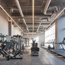 리핏(RE-FIT)