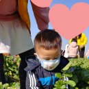 세진농장 이미지