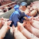 연암산종축 이미지