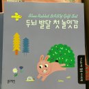 블루래빗 두뇌발달 소전집 : 유아전집 첫 놀잇감 언박싱 내돈내산 후기