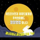 이마트아프리카안경