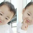 다미향 이미지