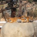 월드밸리 이미지