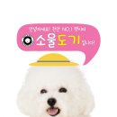 소울도기 이미지