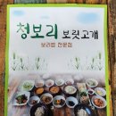 청보리보릿고개 이미지