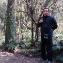 자연애민박 이미지