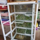 멍멍이랑 호호아줌마 이미지