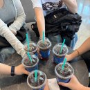 THANK's | HYU Residential College 멘토 활동 후기 Mentoring Program Review