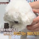 내친구동물병원 이미지