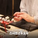 우 | 오사카 우메다 스시 맛집 기타신치 오마카세 센코우도우 후기