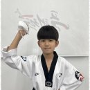 스타일 태권도장 이미지