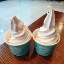 세븐게임장 이미지