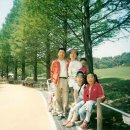오일삼삼