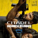 Honey Bunny 이미지