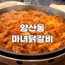 (주)다익 | 양산동 닭갈비도 라면도 부침개도 두둑히 먹을수 있는 마녀닭갈비