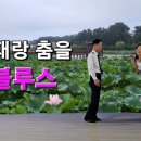 연꽃닮은 분위기 블루스 - 박영재댄스 대전역에서 도보5분거리 이미지