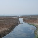 메추리 펜션 이미지