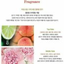 이모지오네 네이버블로그