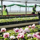 백양산 양묘장 이미지