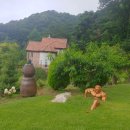 목석산방 이미지