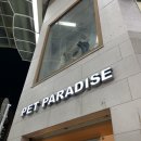 펫 파라다이스(pet paradise) | [PET PARADISE] 일본 오사카 펫파라다이스 신사이바시점, 요도바시카메라 멀티미디어점 비교_닥스훈트...