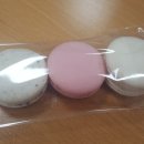 마리웨일마카롱 Daum카페