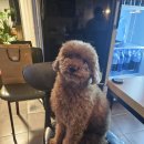 포인트마트하양 이미지