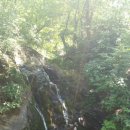 육백산 사슴농장 이미지