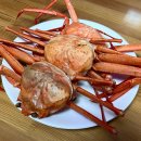 영덕수산 | 청년수산 영덕 홍게 수율 좋은 육수용홍게 후기