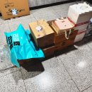 가평 신축 독채 숙소 아모라 프리미엄 풀빌라 솔직 후기( 파티하기 좋은 숙소/시부모님 여행 숙소)